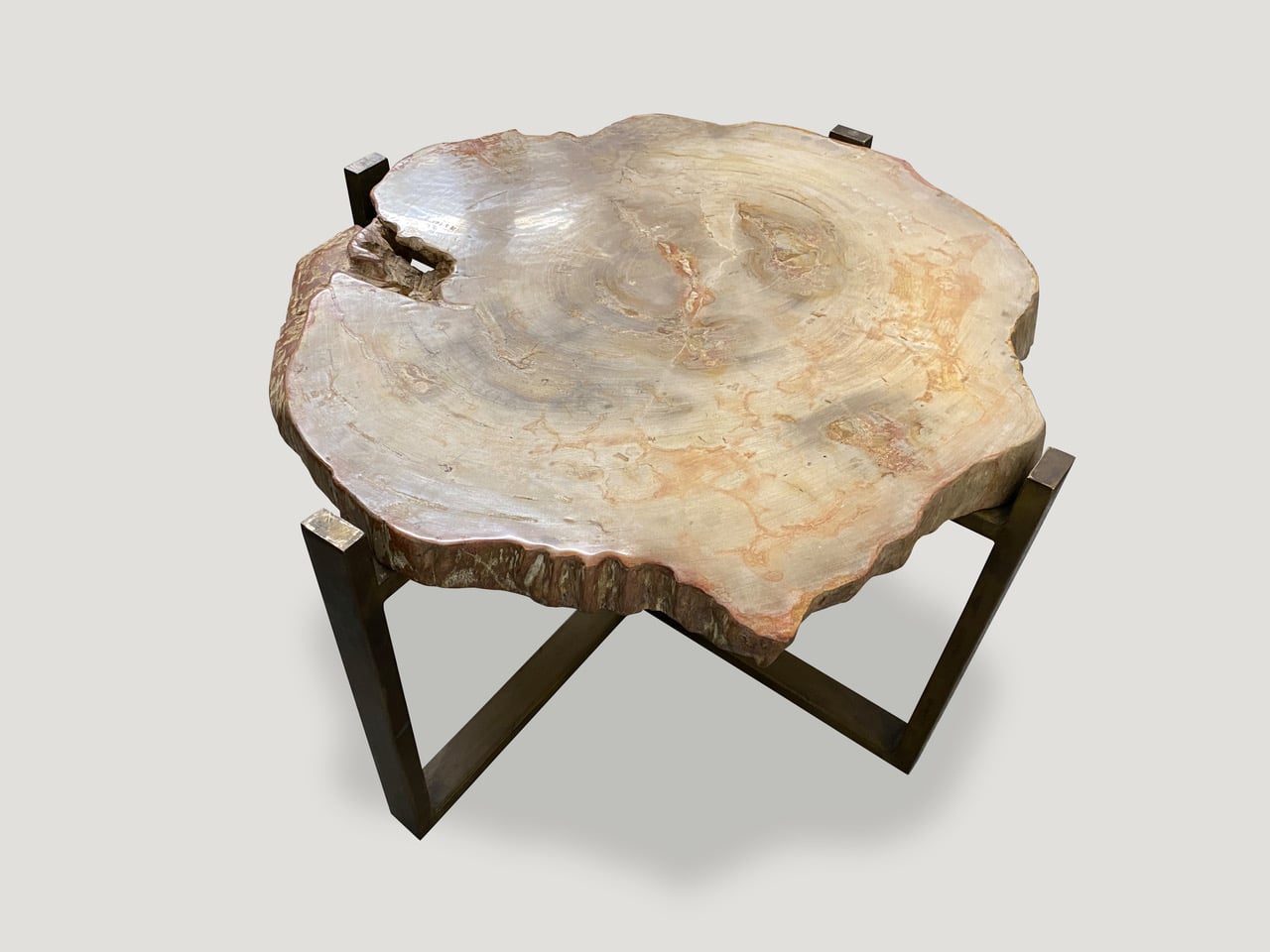 Beige Petrified Wood Slab Coffee Table or Side Table 48WP Andrianna