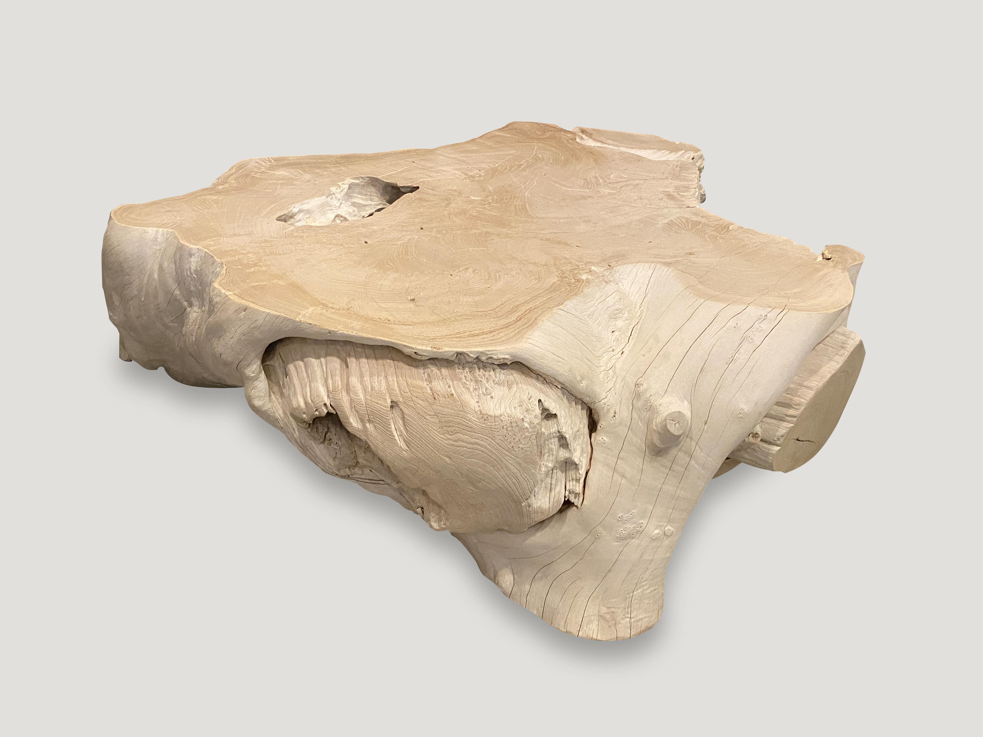 Bleached Teak Wood Coffee Table 8RAG Andrianna Shamaris