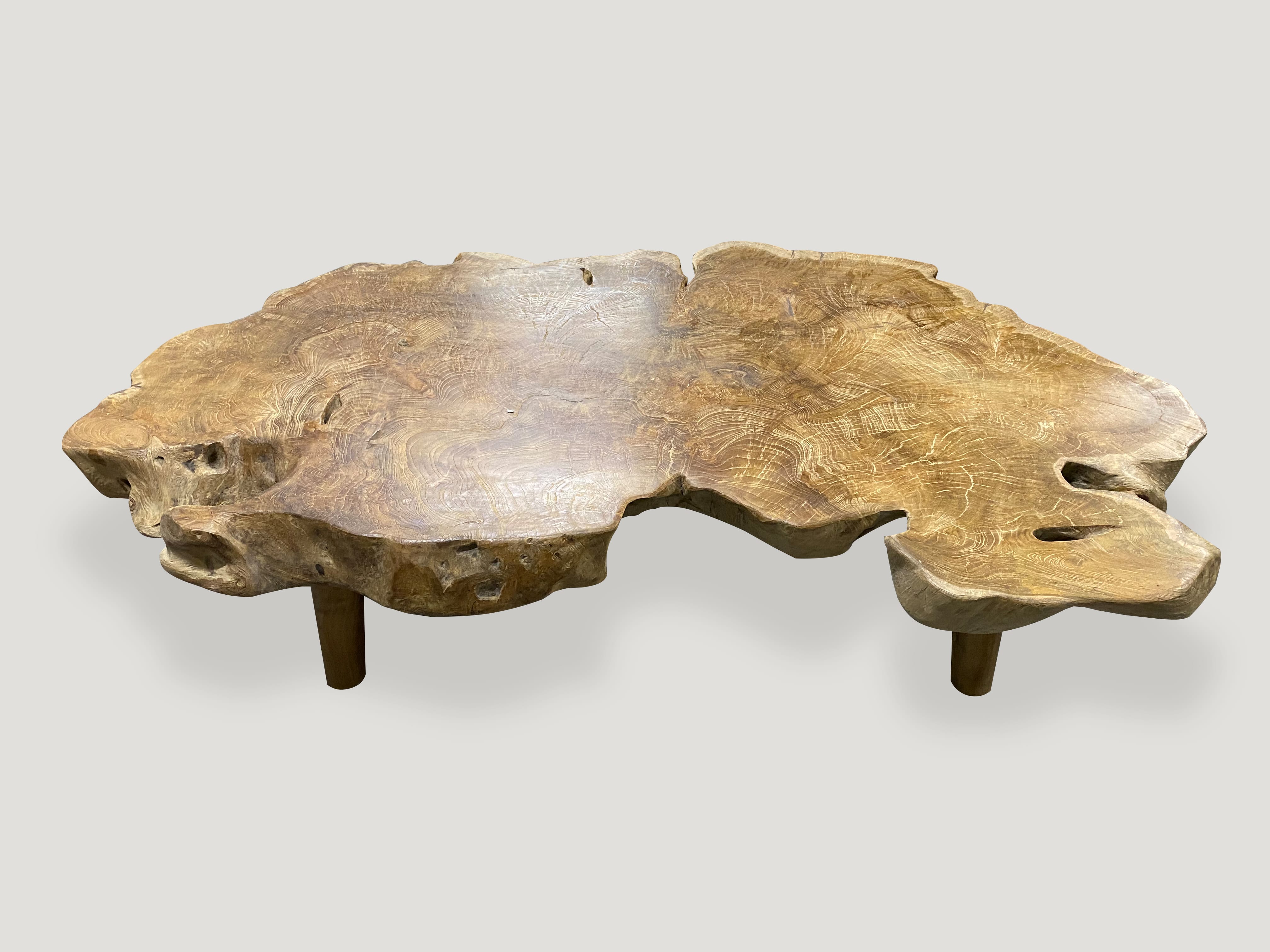 Teak Burled Wood Live Edge Coffee Table 98BT Andrianna Shamaris