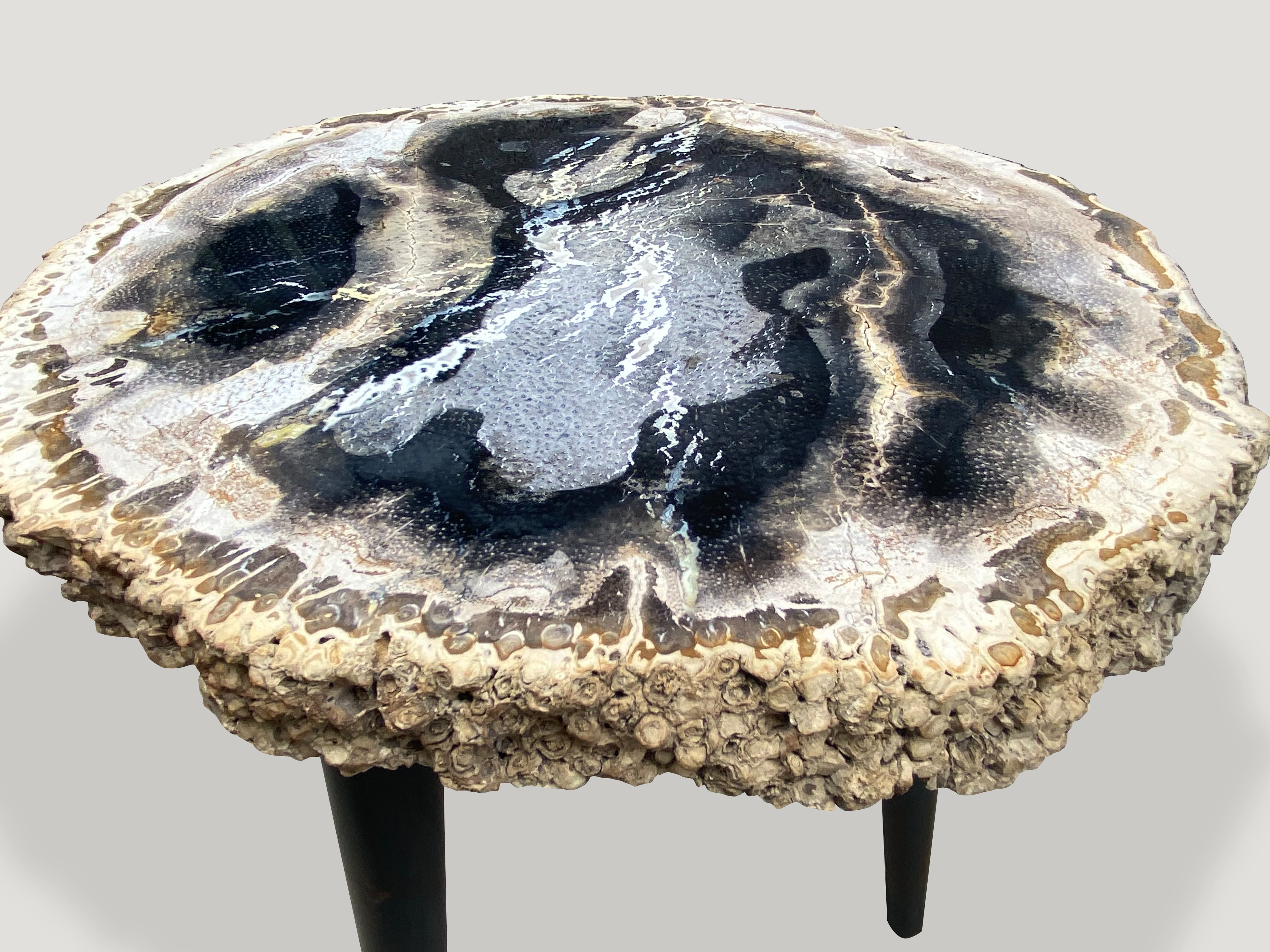 Rare Palm Petrified Wood Side Table 18MAR Andrianna Shamaris
