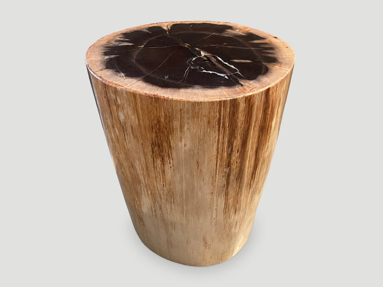 High Quality Petrified Wood Side Table 7233F Andrianna Shamaris