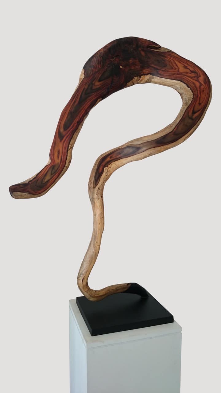 Sono Wood Sculpture GEDEF Andrianna Shamaris