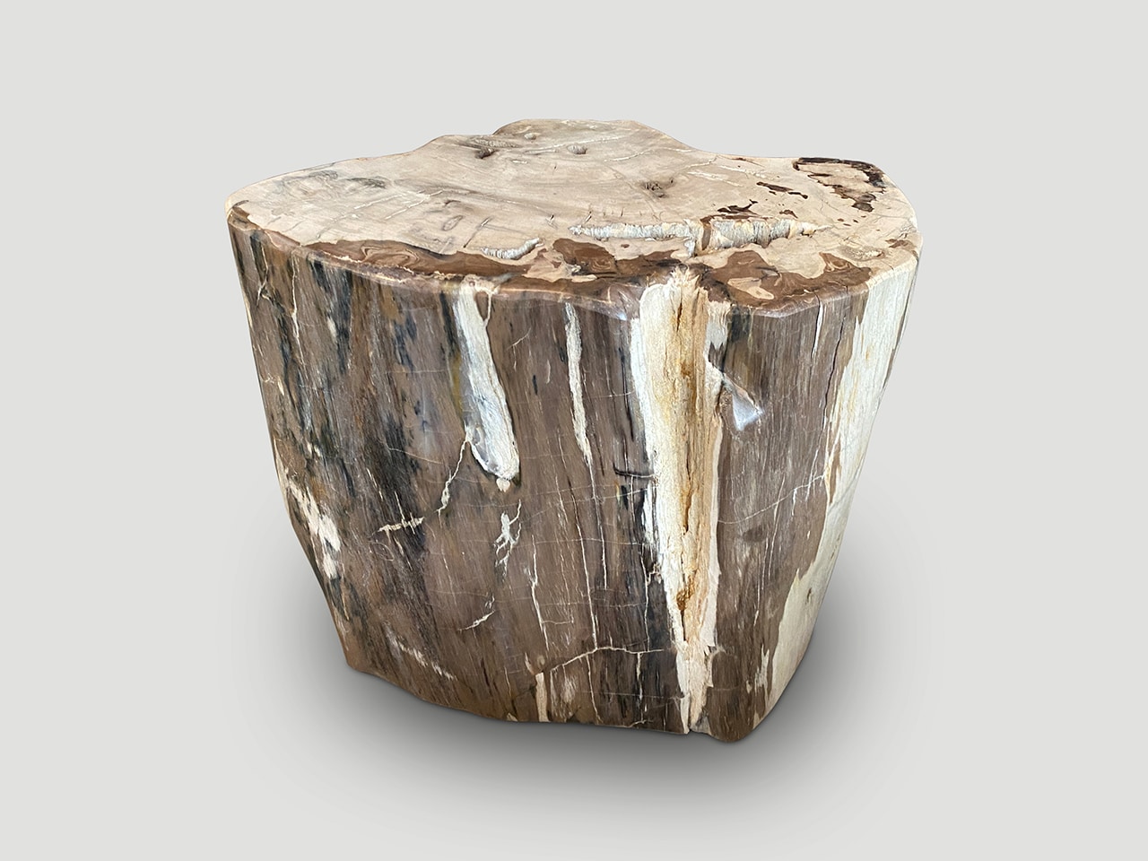 Ancient Petrified Wood Side Table or Coffee Table 1118R Andrianna