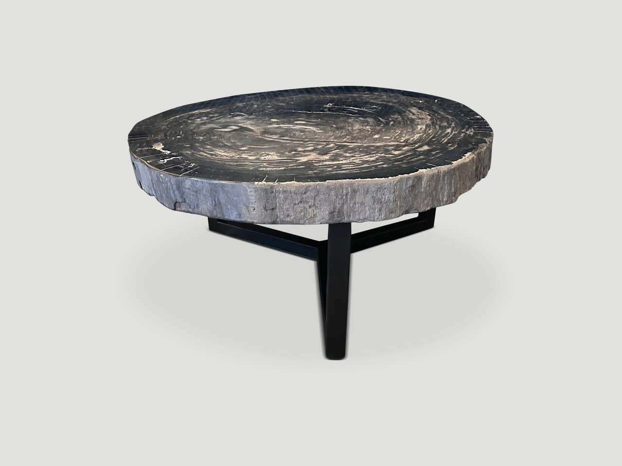 Impressive High Quality Petrified Wood Coffee Table 17910 Andrianna