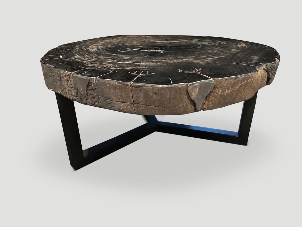 Impressive High Quality Petrified Wood Coffee Table 17910 Andrianna