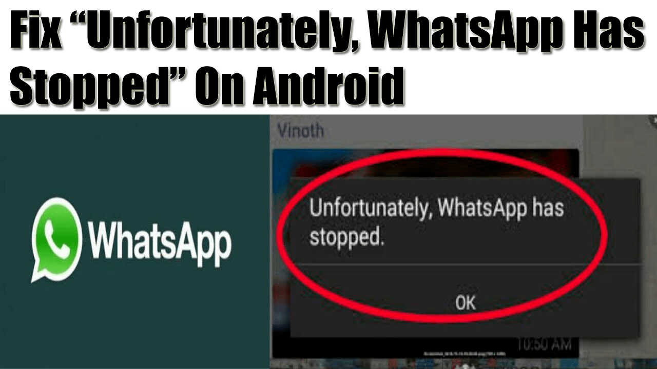 [7 Ways] Fix “Unfortunately, WhatsApp Has Stopped” On Android