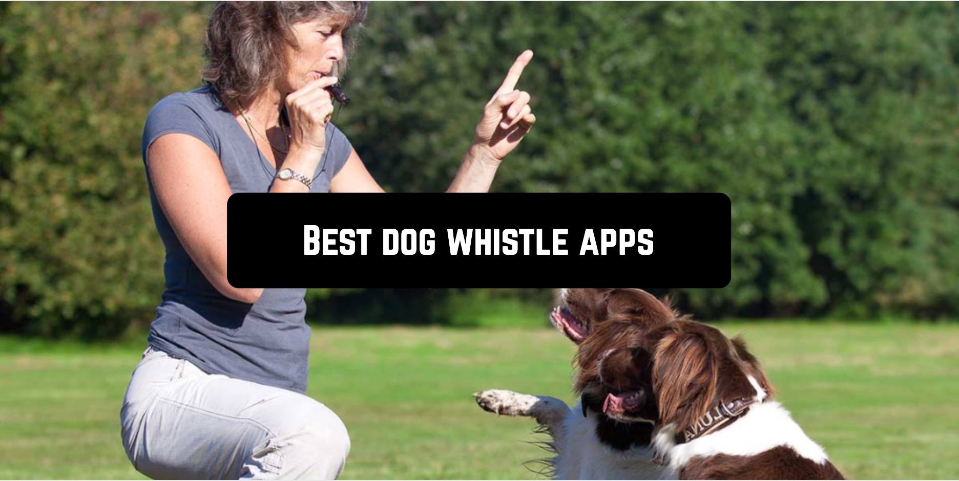 10 Best dog whistle apps for Android Androidappsforme find and