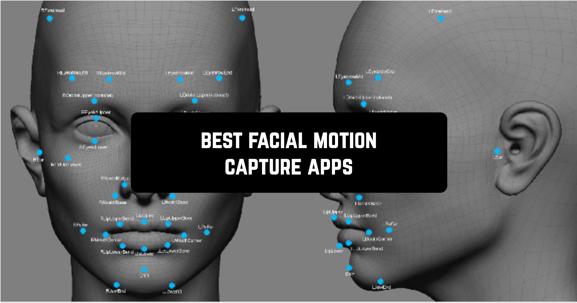 5 Best Facial Motion Capture Apps for Android Androidappsforme find