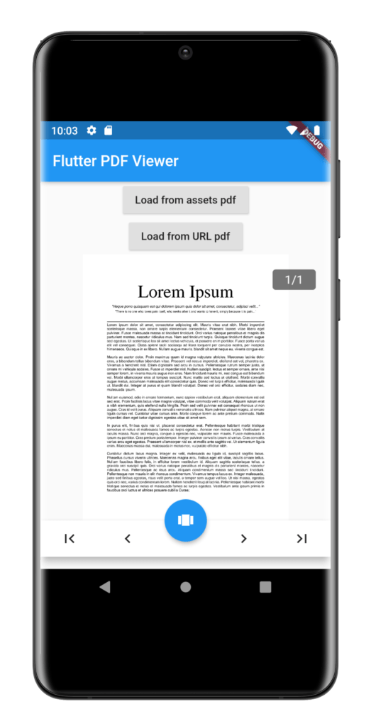 Flutter PDF viewer implementation for beginners AndroidCoding.in