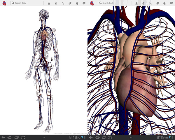 Google Body Discover What Your Made of in 3D Android