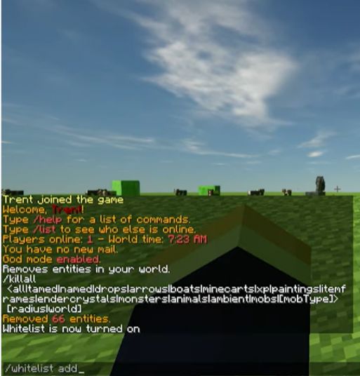 How to Use the Minecraft Whitelist GGServers Knowledge Base