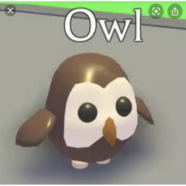 Adopt Me Owl name ideas list Android Gram