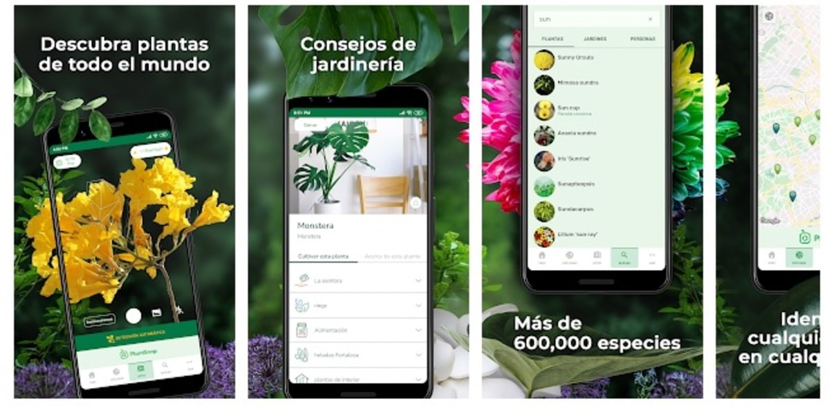 The 8 best applications to identify plants Android Guías