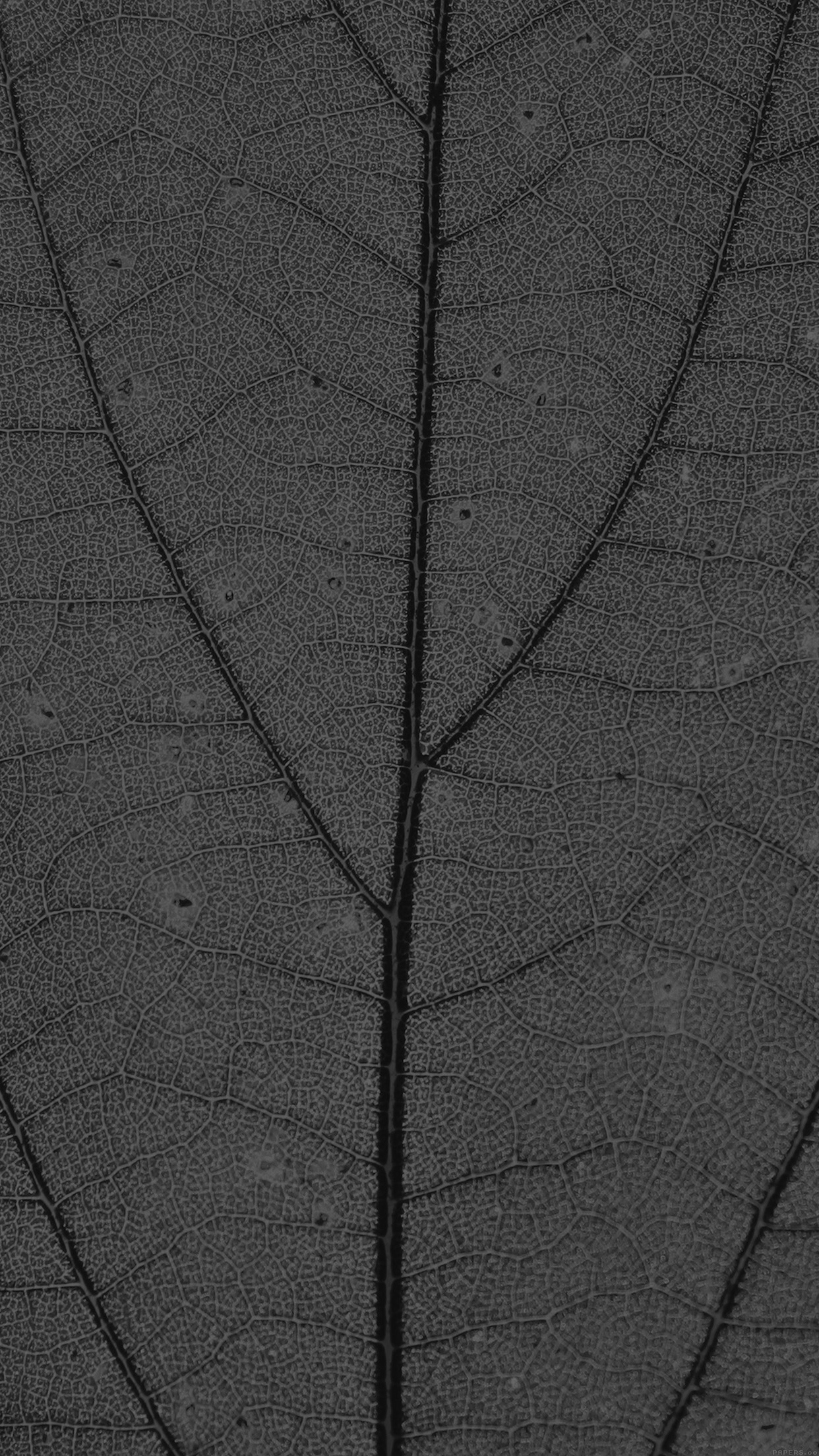 Dark Leaf Texture Nature Pattern Android wallpaper Android HD wallpapers