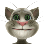 Talking Tom Cat