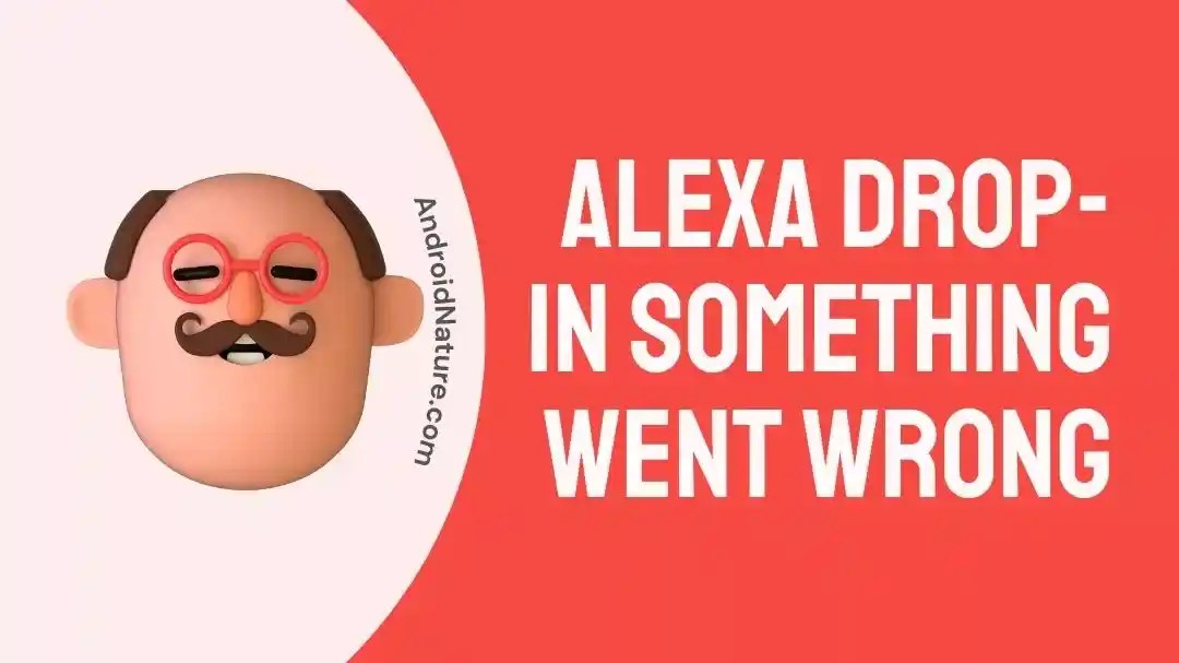 12 Fixes Alexa Dropin Something Went Wrong Android Nature