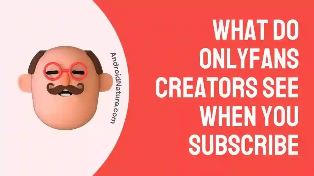 What do OnlyFans Creators See When you Subscribe - Android Nature