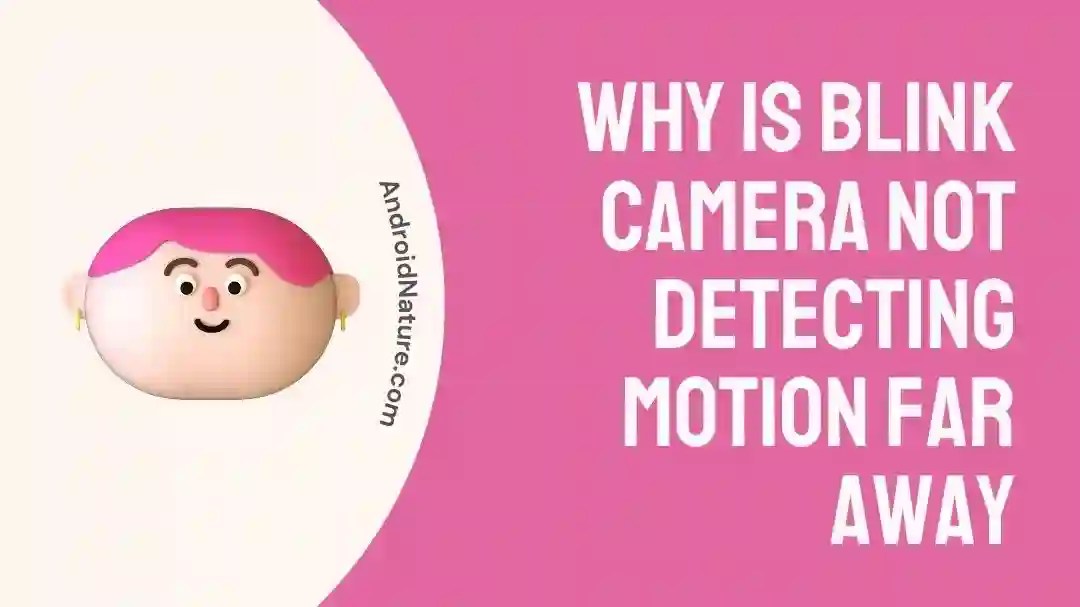 Why is Blink Camera Not Detecting Motion Far Away (6 Fixes) Android