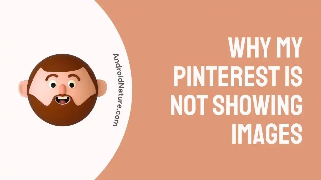 Why My Pinterest is Not Showing Images Android Nature