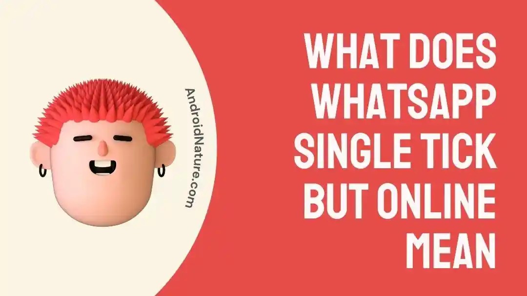 What Does WhatsApp Single Tick but Online mean Android Nature