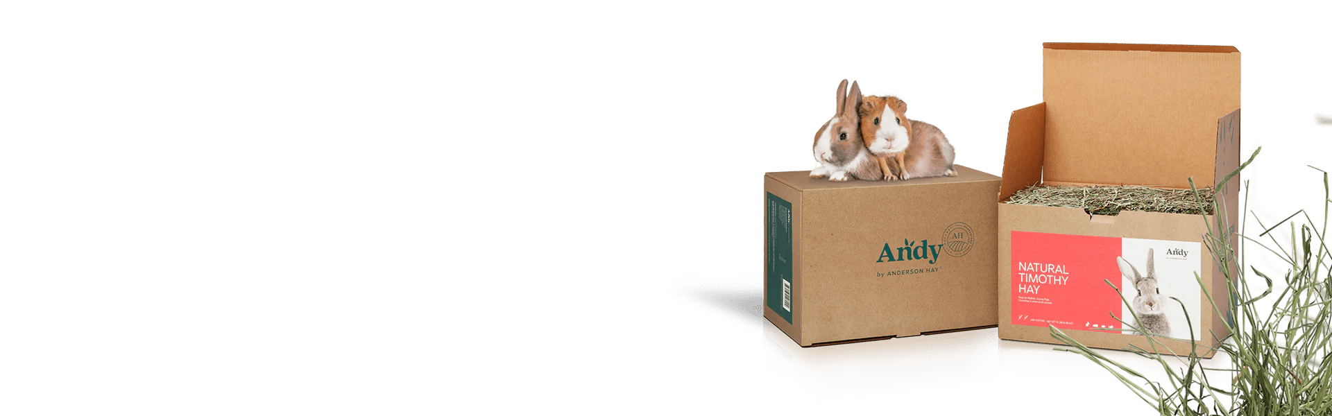 Natural Timothy Hay for Rabbits Andy by Anderson Hay