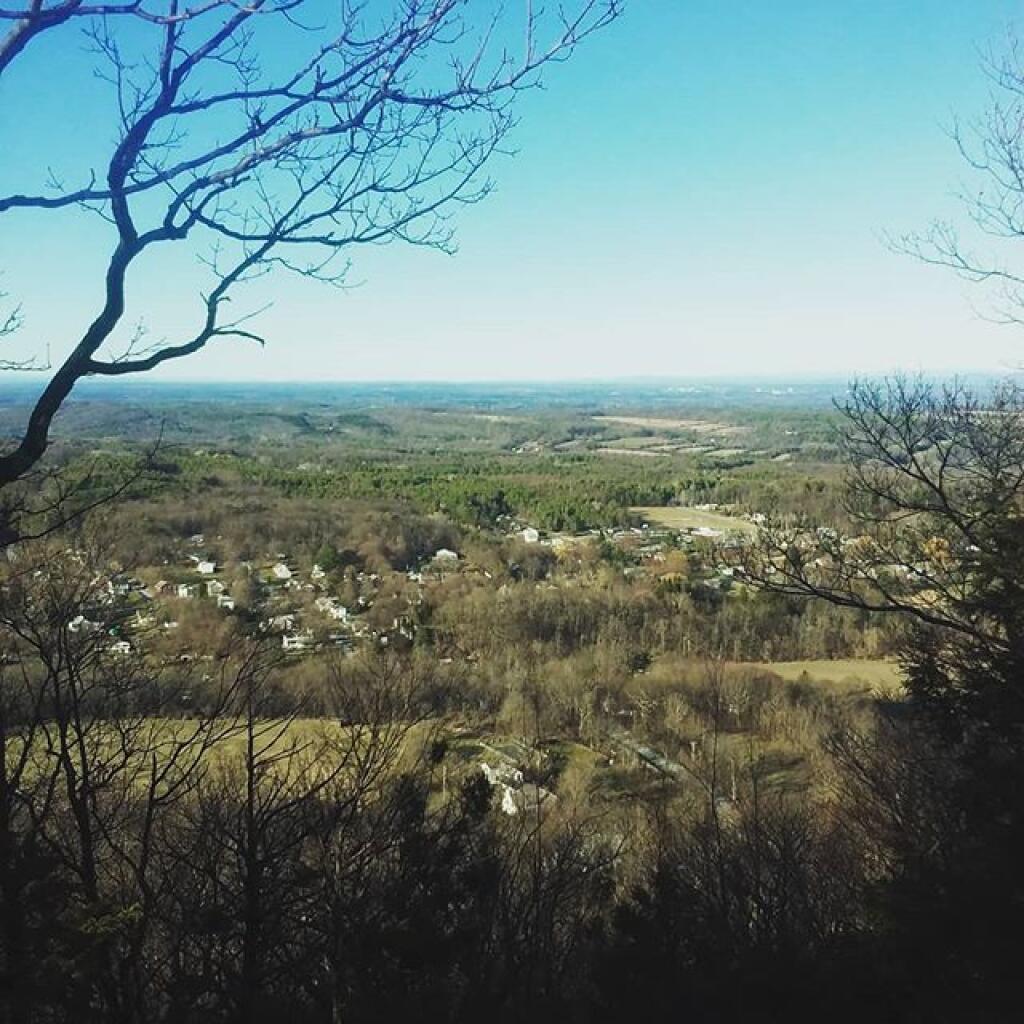 Moose River Plains Andy