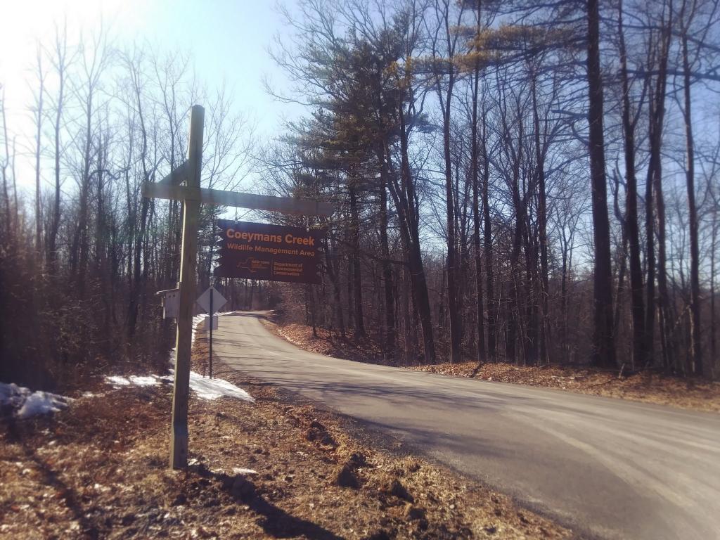 NYS Census Population Andy