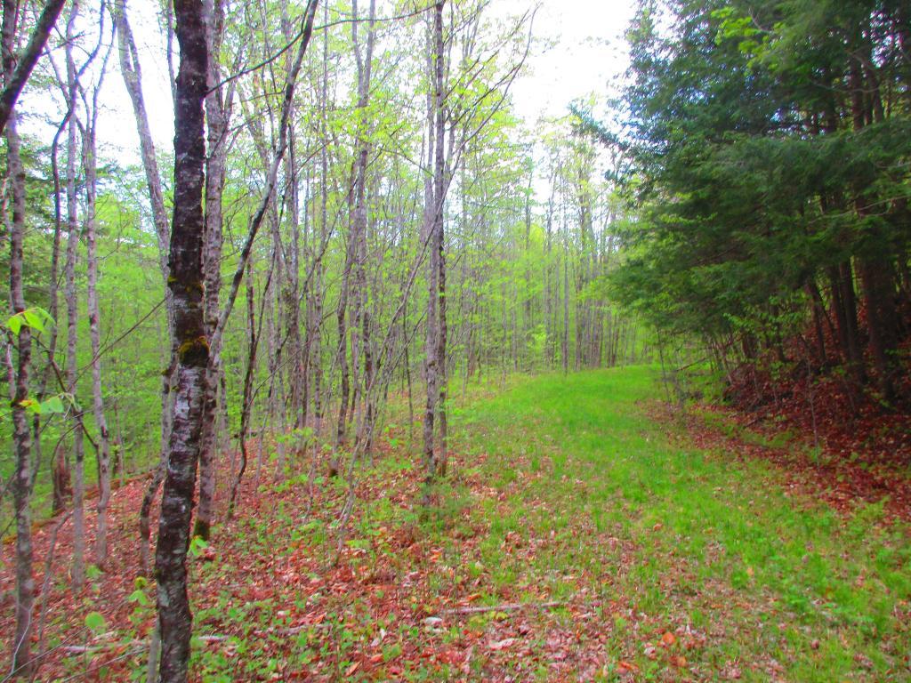 Campsites at Moose River Plains Andy