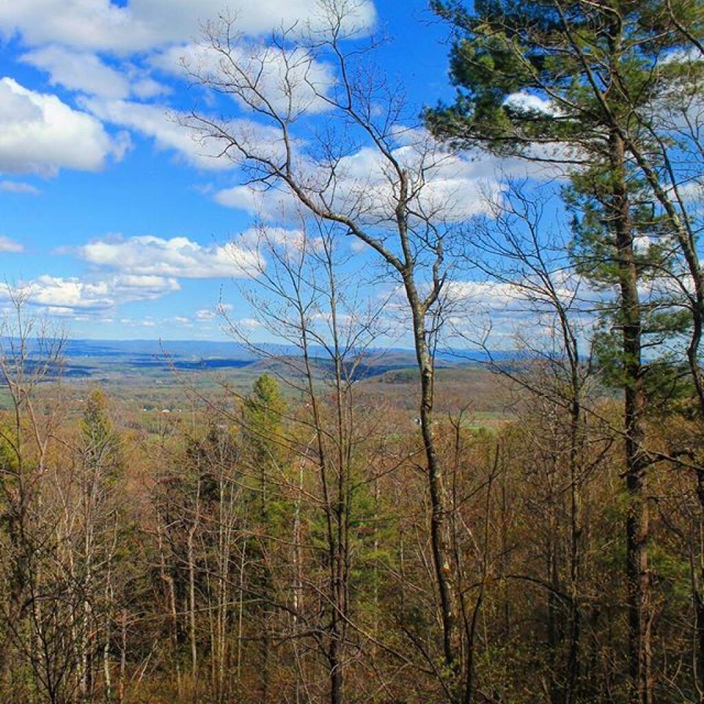 Roadside Camping Review Otter Creek State Forest Campsites Andy