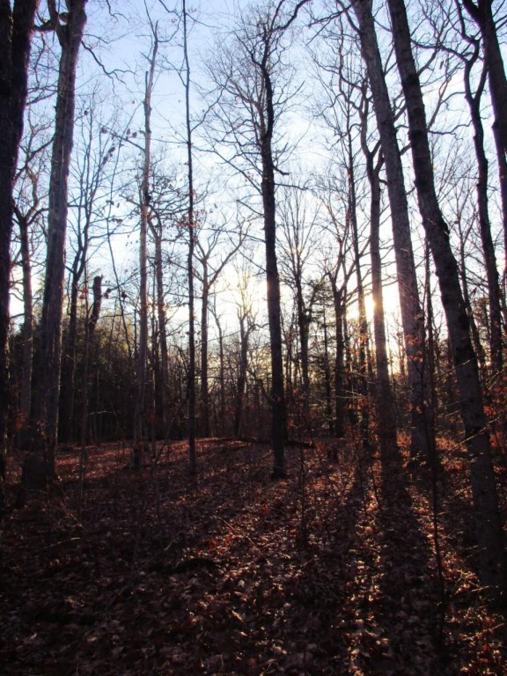 Map Tug Hill State Forest Inman Gulf Andy