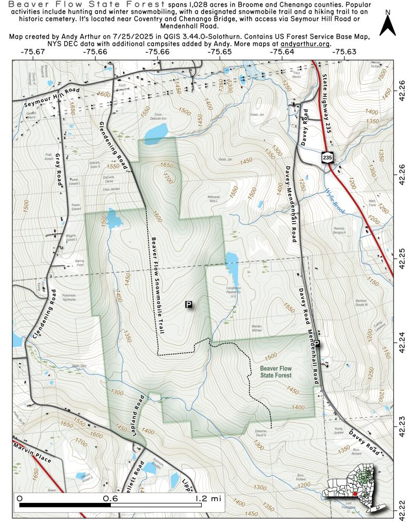 Where to Camp in Black River Wild Forest Andy