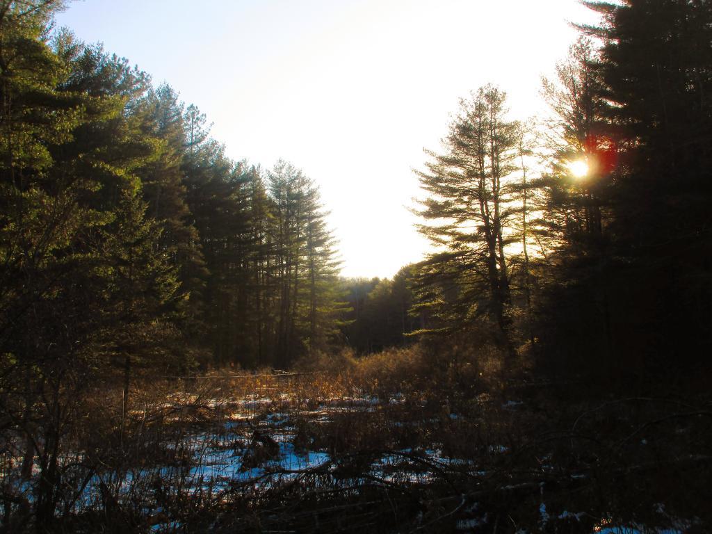 Bennett Lake Wisconsin Map Map Middle, Murphy Lakes Andy
