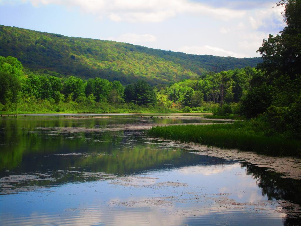 Hunter Mountain Andy