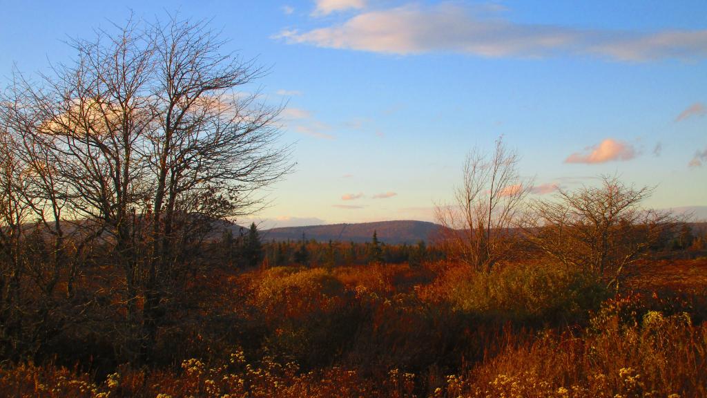 Map Honeoye Inlet WMA North Parcels Andy