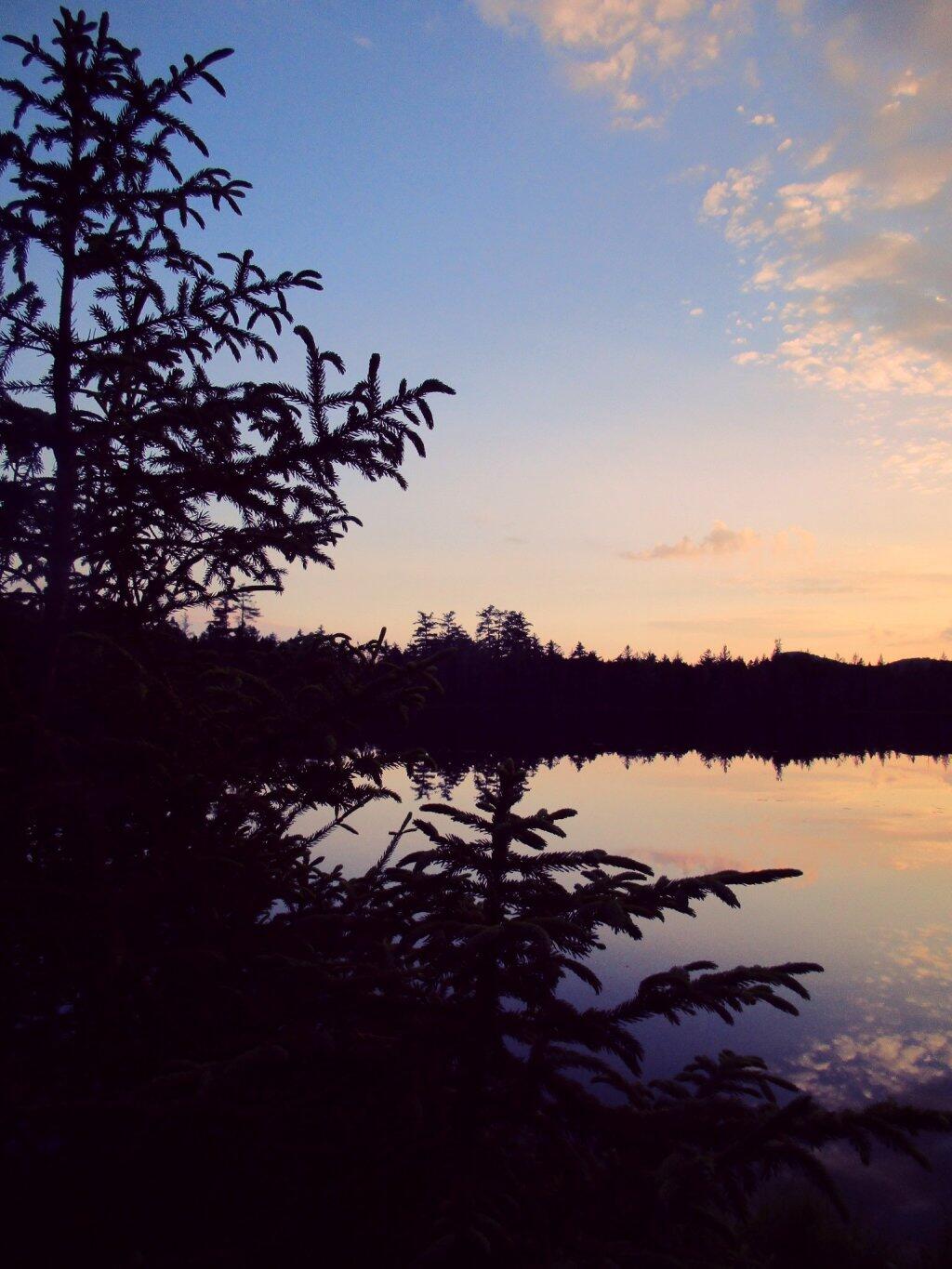 Moose River Plains Andy