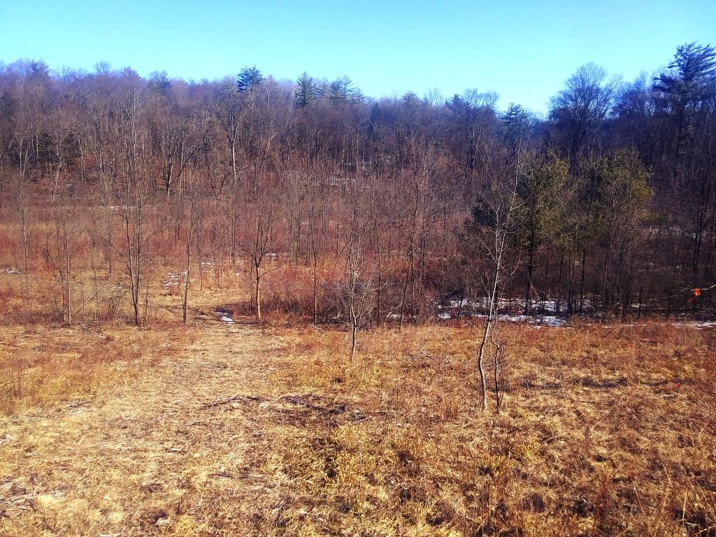 Eaton Brook Reservior Andy
