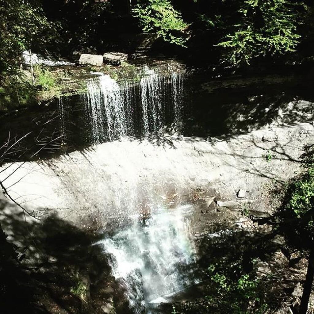 Rock City and McCarty Hill State Forest Andy
