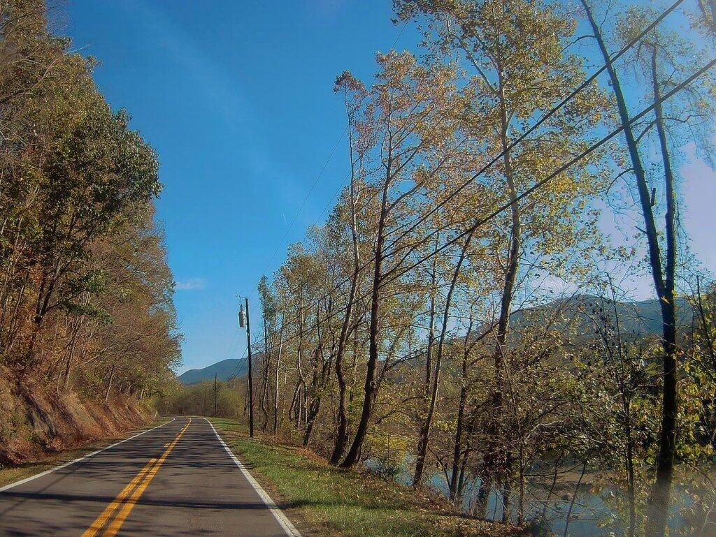 Coyle Hill State Forest Andy