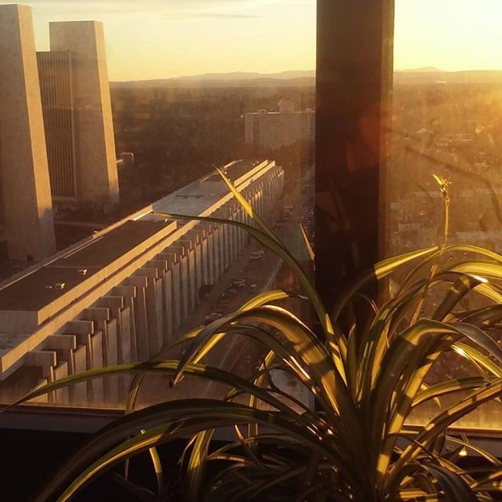 Chazy Highlands Andy