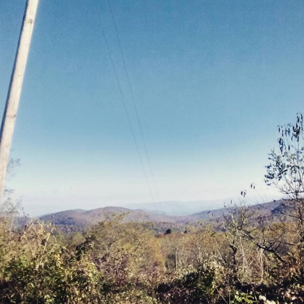 » Oriskany Flats WMAAndy