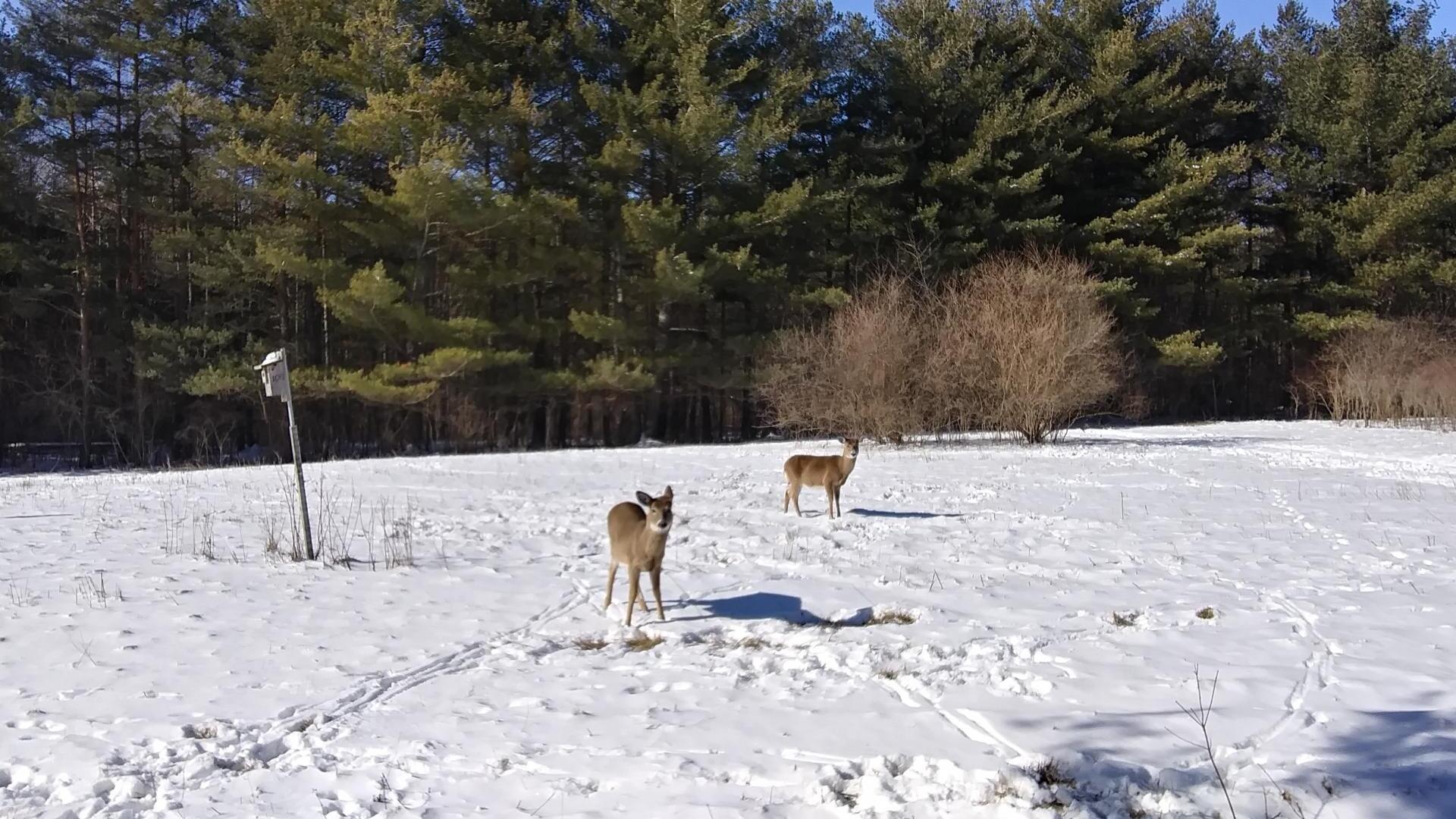 Map Yates County Andy