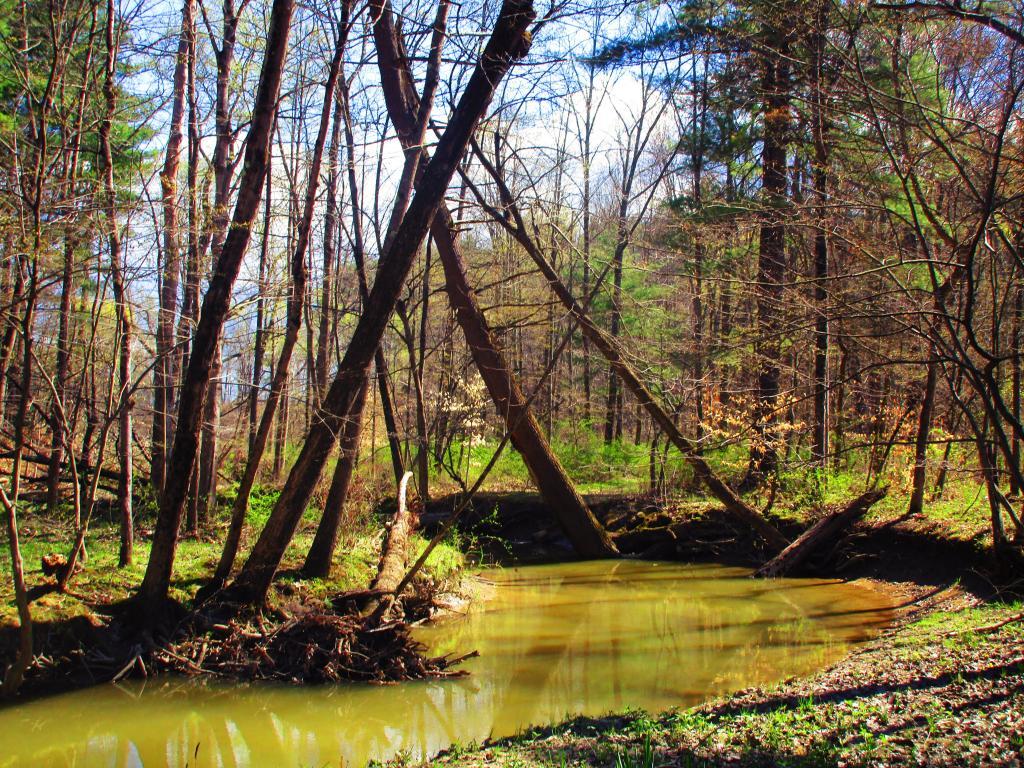 Schuyler County Maps, Photos, Videos, Aerial Photography, Charts Andy