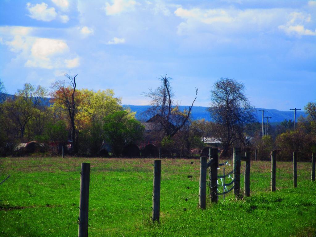 Map West Kill Fishing Andy