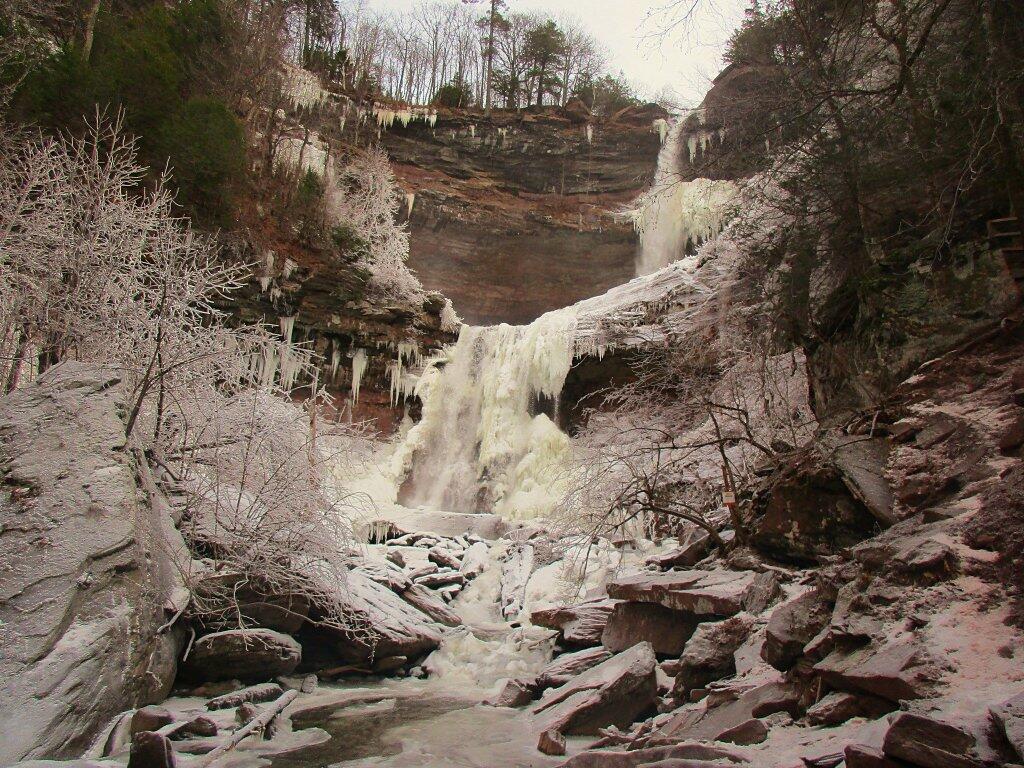 Cattaraugus County Andy