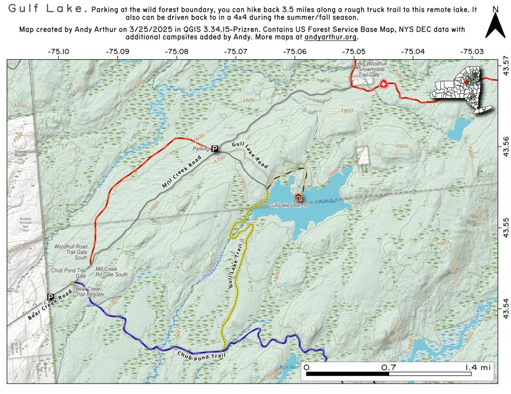 Black River Wild Forest Andy