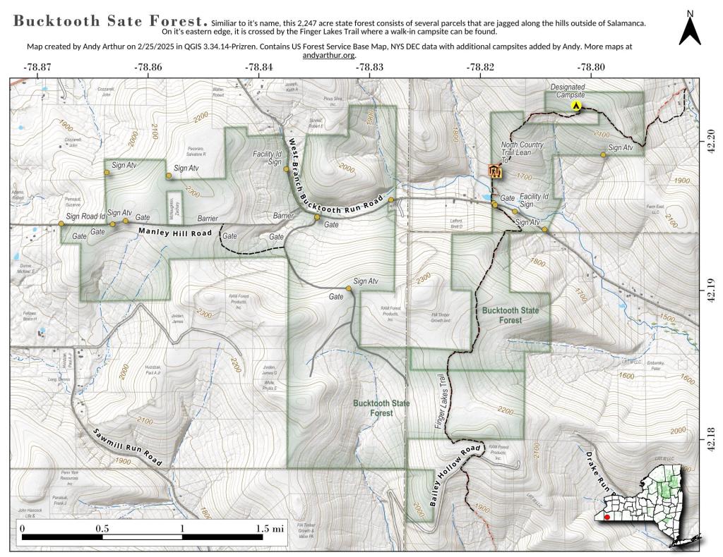 Bucktooth State Forest Andy