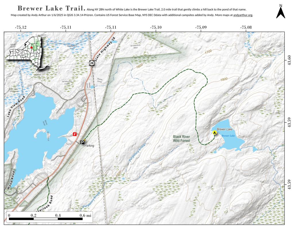 Black River Wild Forest Andy
