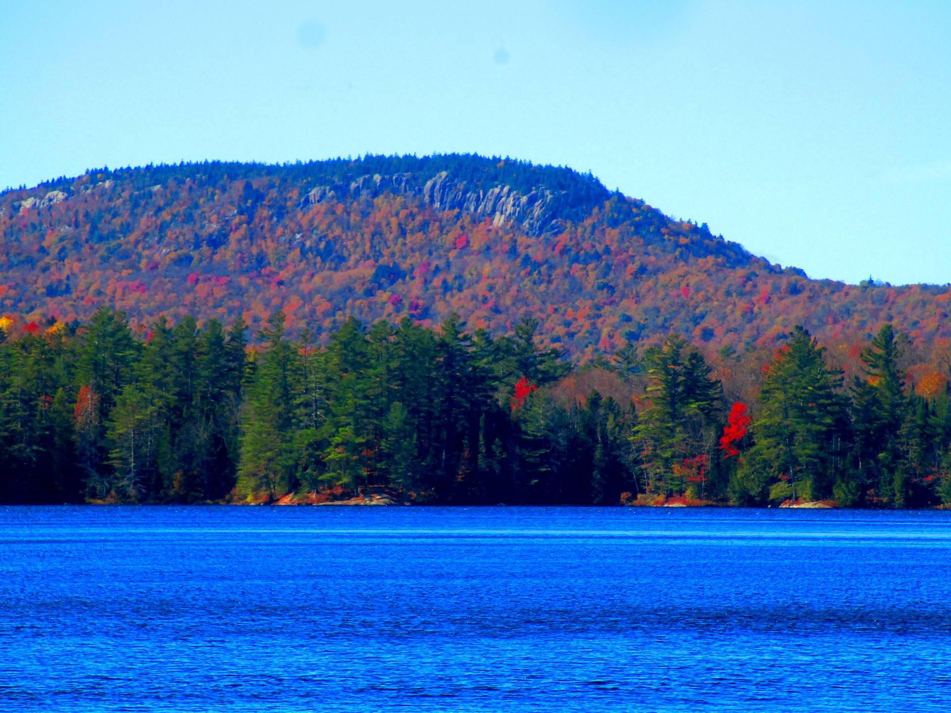 Latino Population Map Of Us