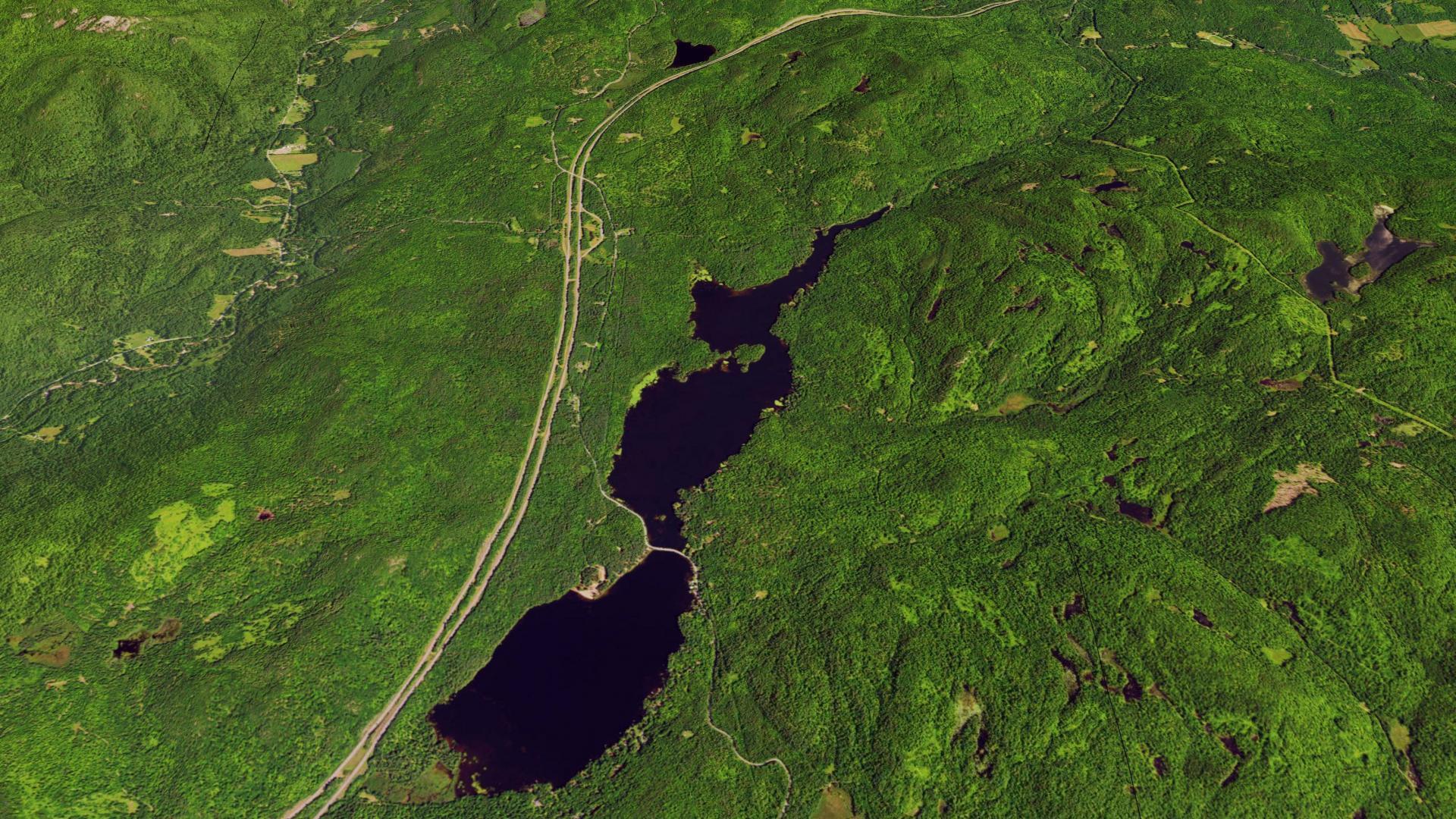 Aerial Photo Lincoln Pond Andy