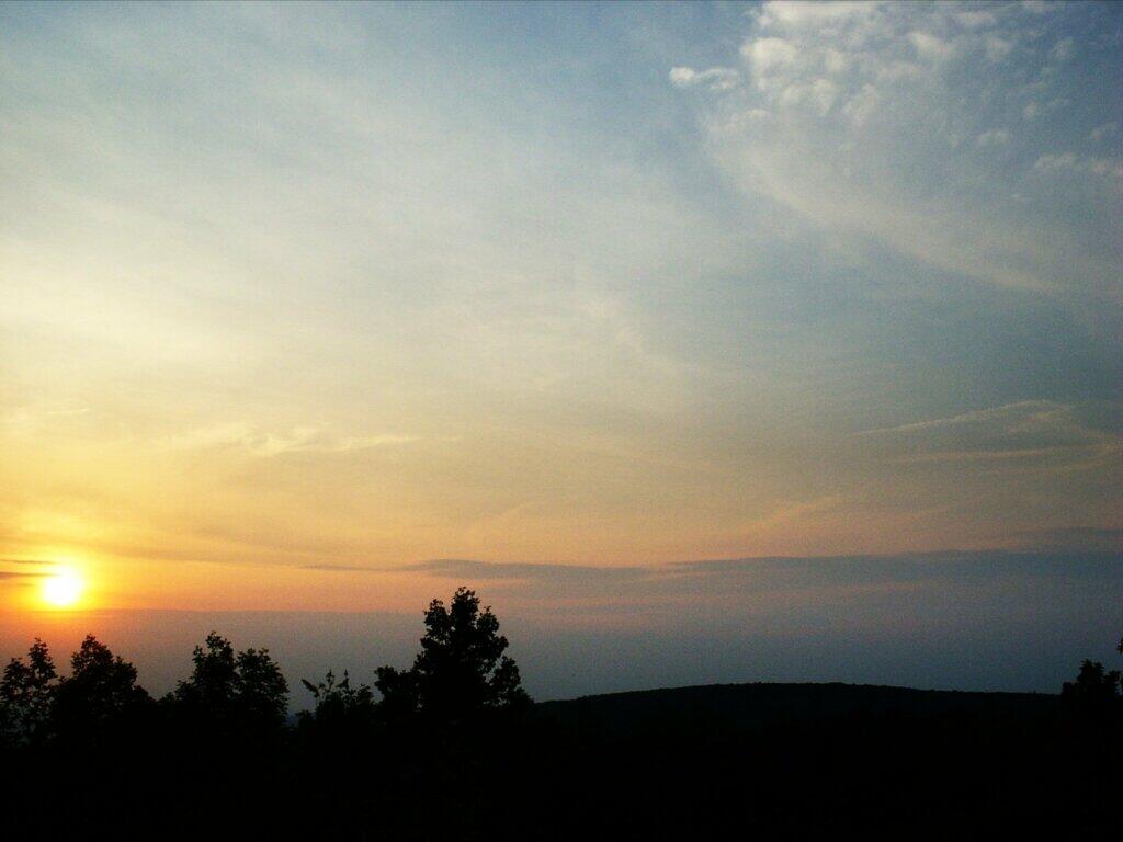 Dutch Settlement State Forest Andy